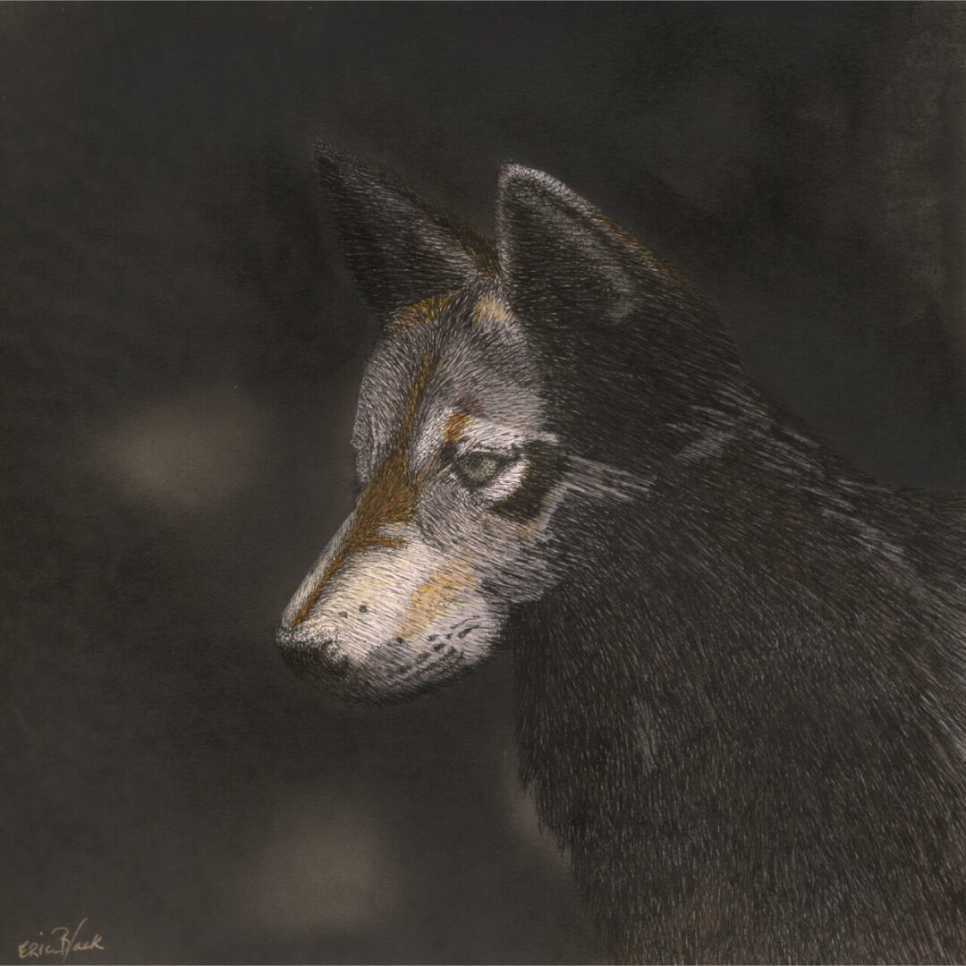 A painting of a wolf in the dark.