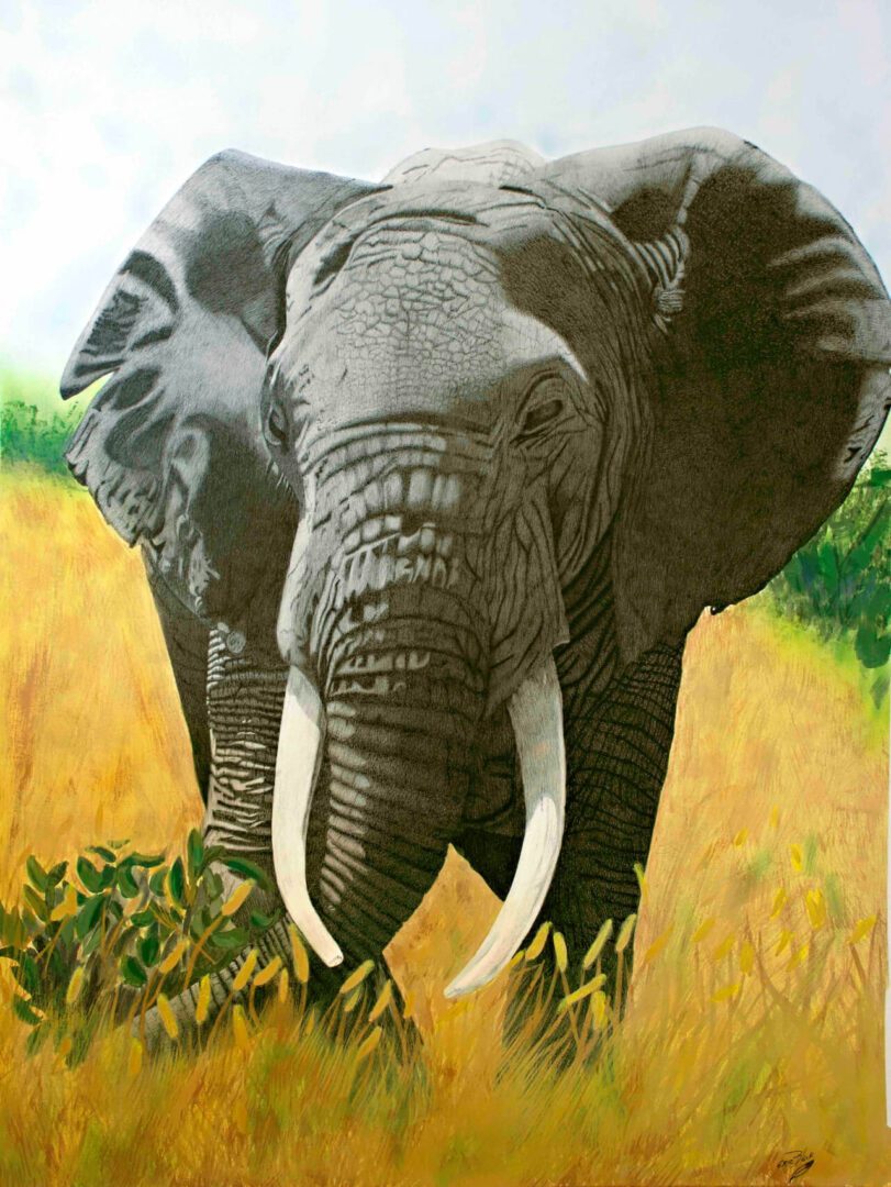 A painting of an elephant with tusks in the grass.