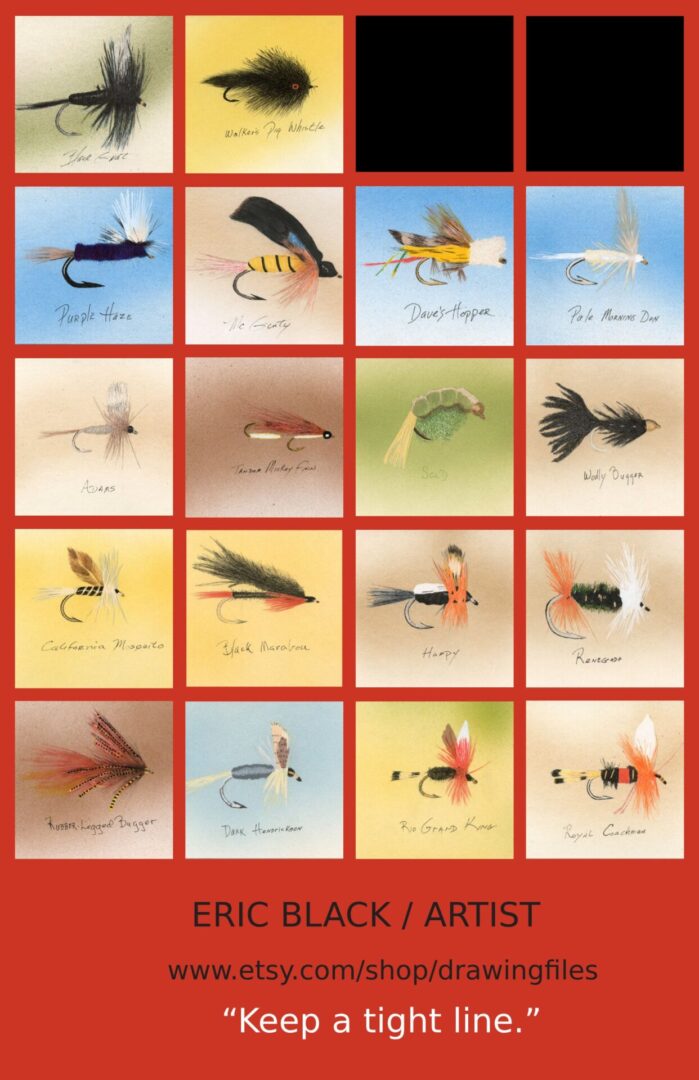 A series of different types of flies on display.