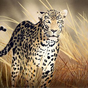 A painting of a leopard walking through tall grass.