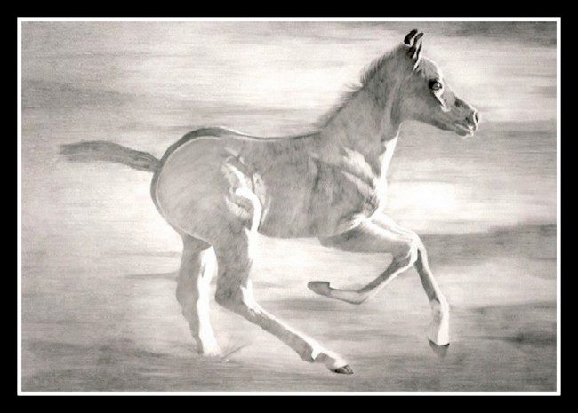 A horse running in the sand on the beach.