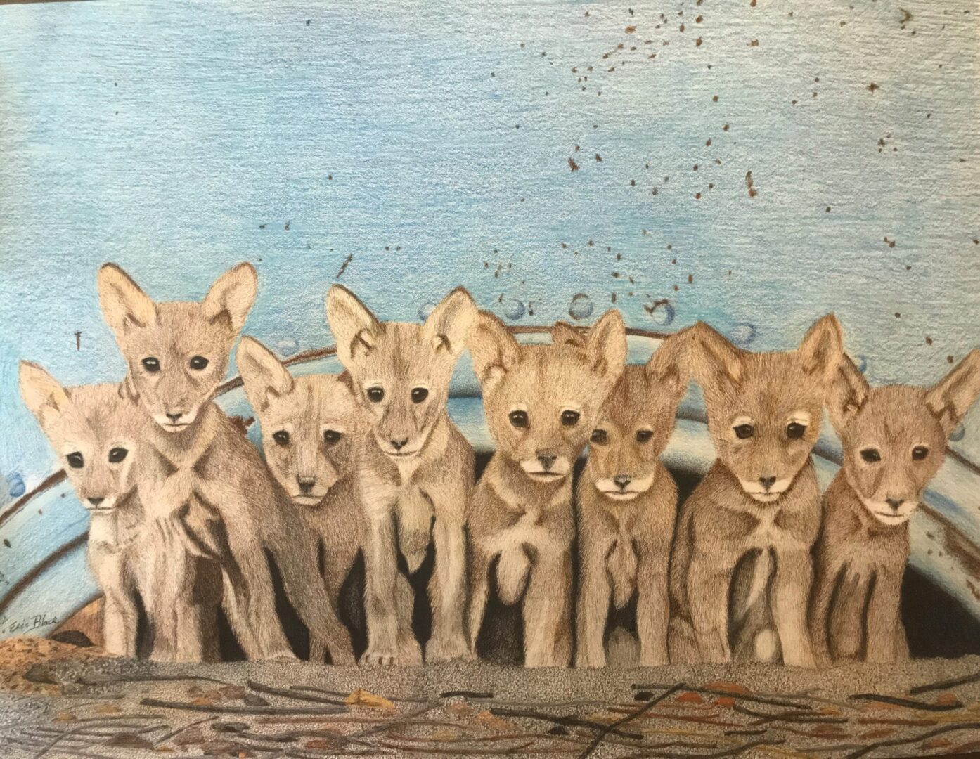 A painting of a group of fennec foxes