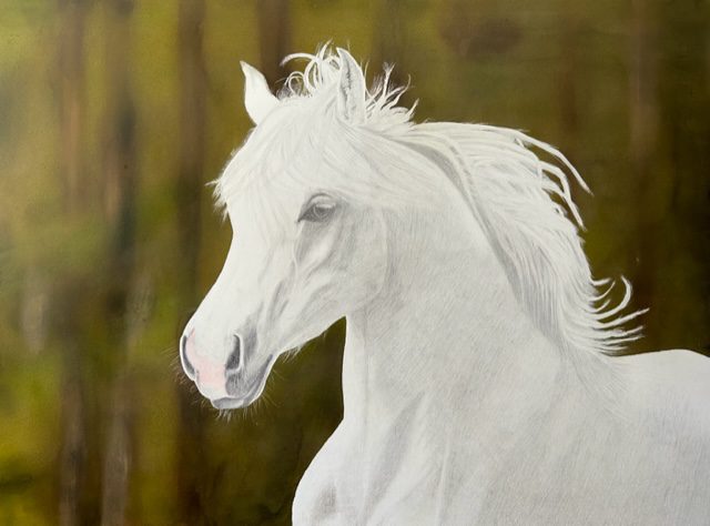 A white horse with long hair is standing in front of trees.