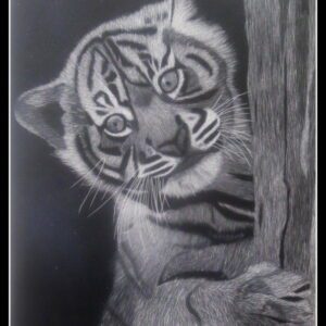 A black and white drawing of a tiger cub