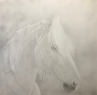 A white horse is standing in the fog.
