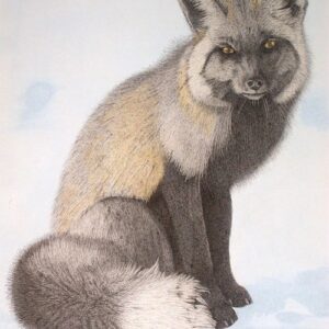A painting of two foxes sitting on the ground