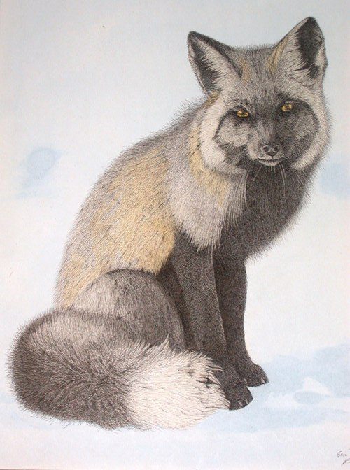 A painting of two foxes sitting on the ground