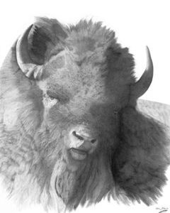 A black and white photo of an animal.