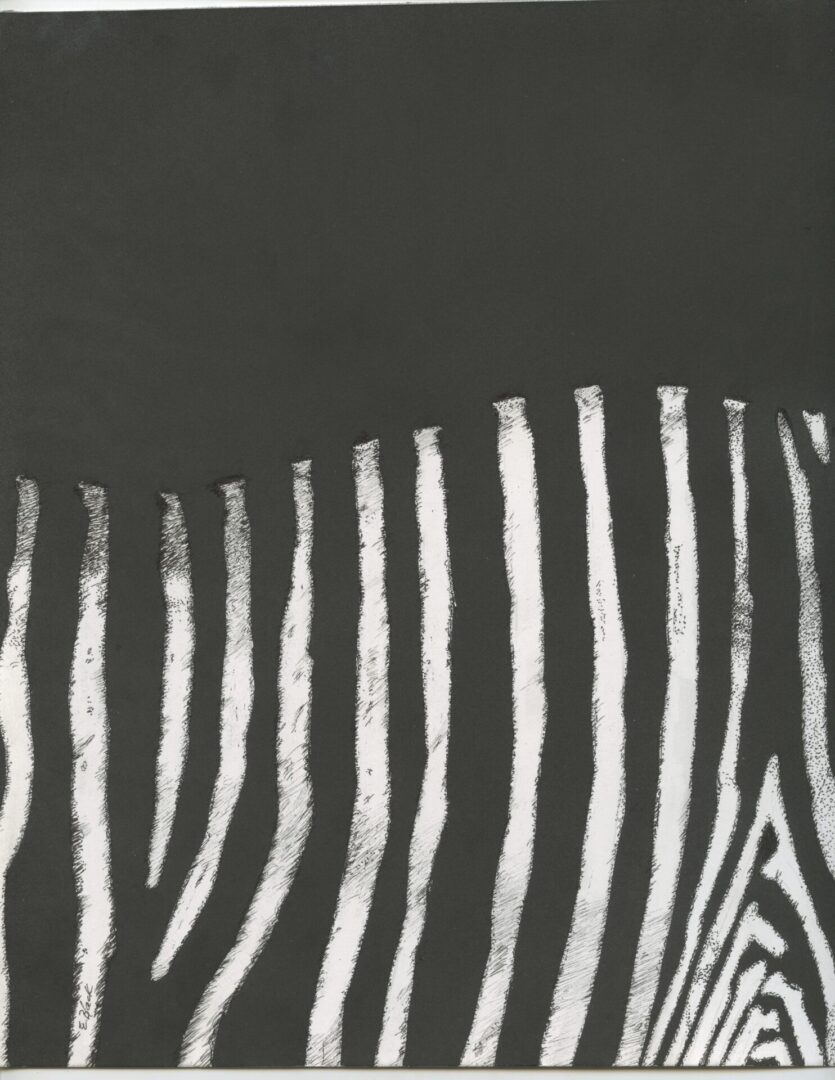 A zebra is standing in the middle of its body.