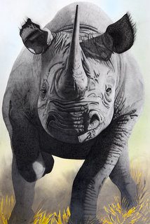 A rhino with glasses on its head and horns