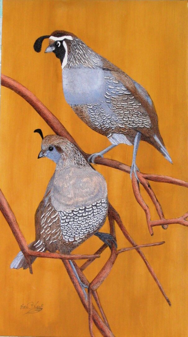 Two birds are sitting on a branch of a tree.